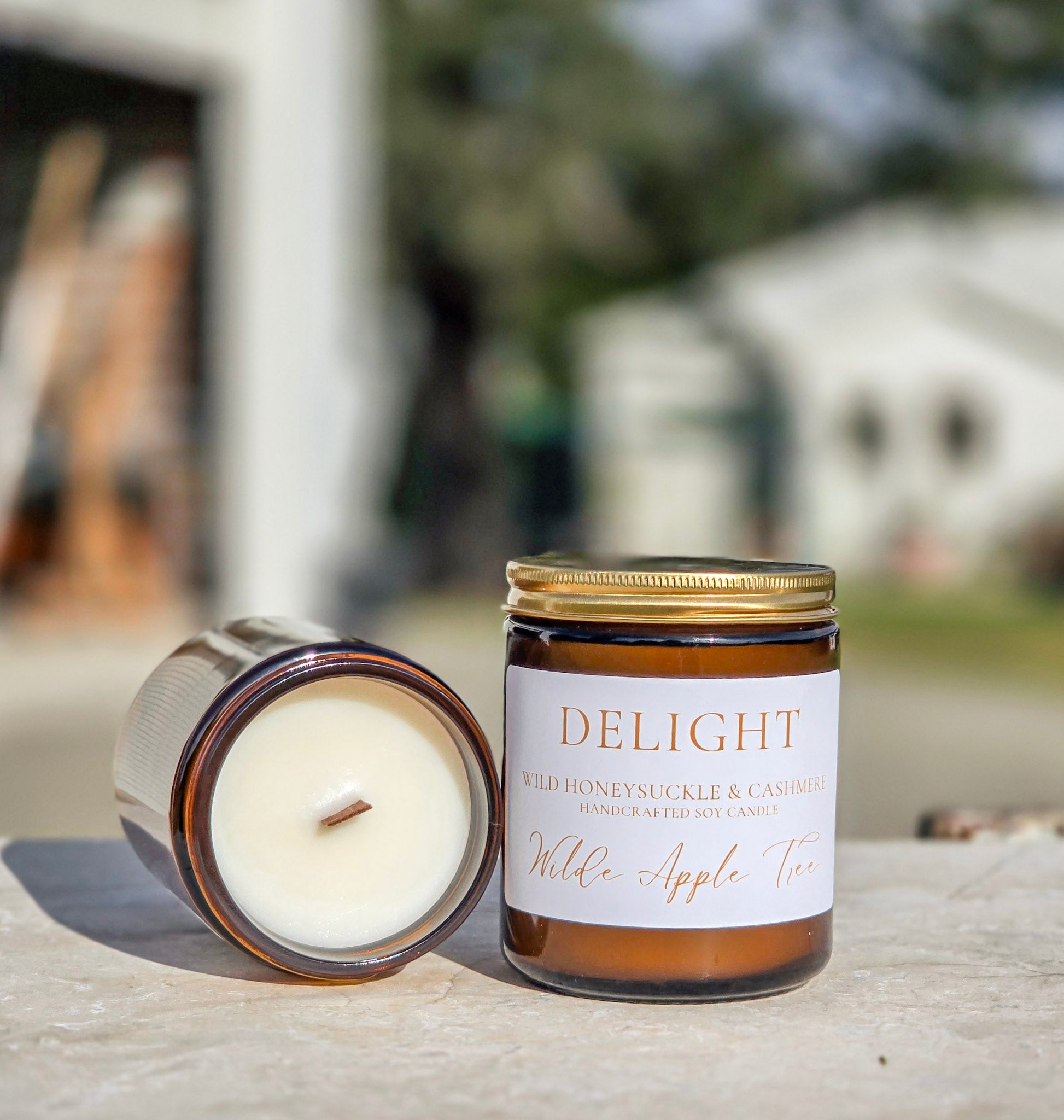 Delight Candle | Mini | Wild Honeysuckle & Cashmere