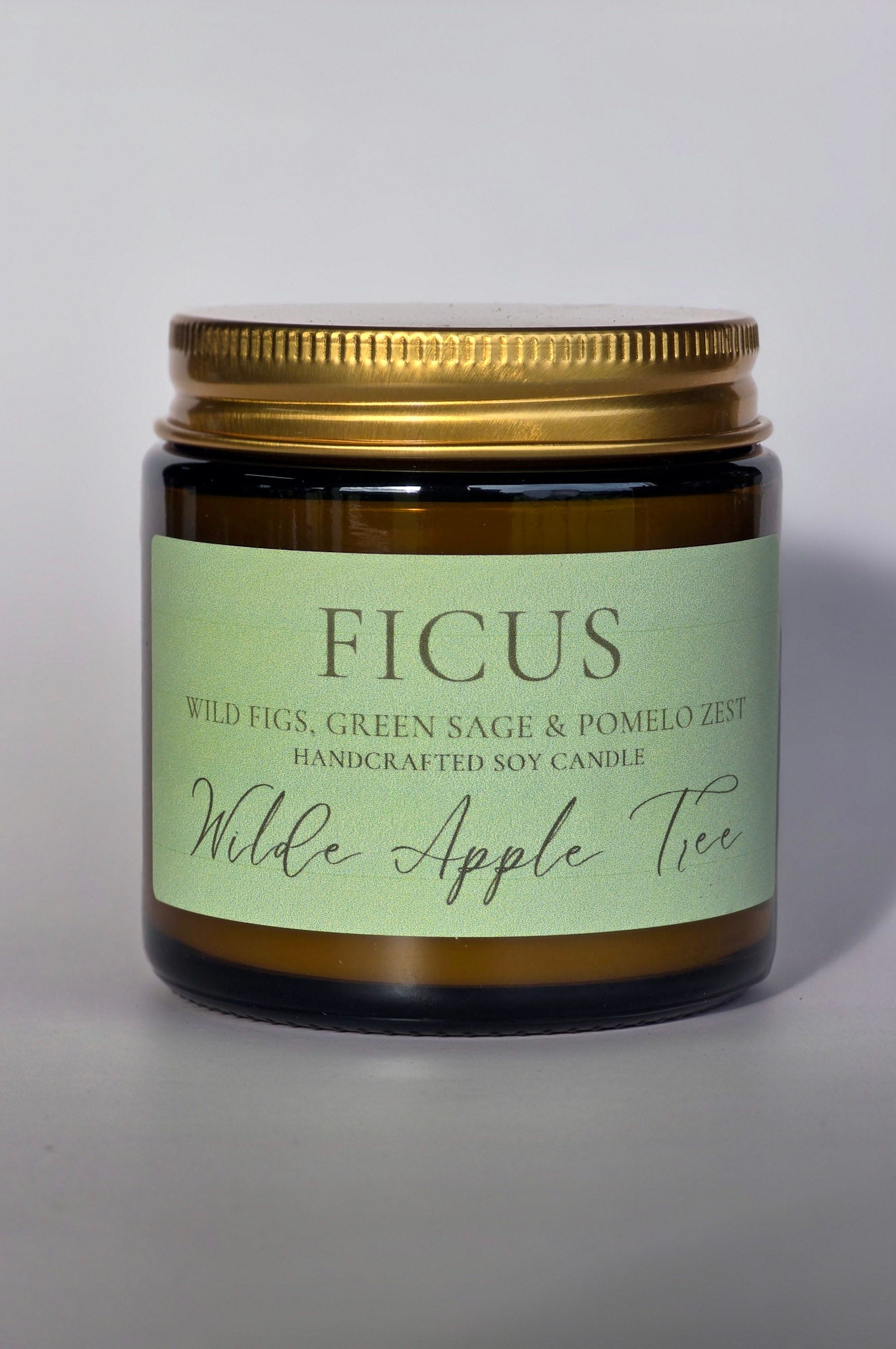 Ficus Candle | Mini | 20+ Hours Burn Time