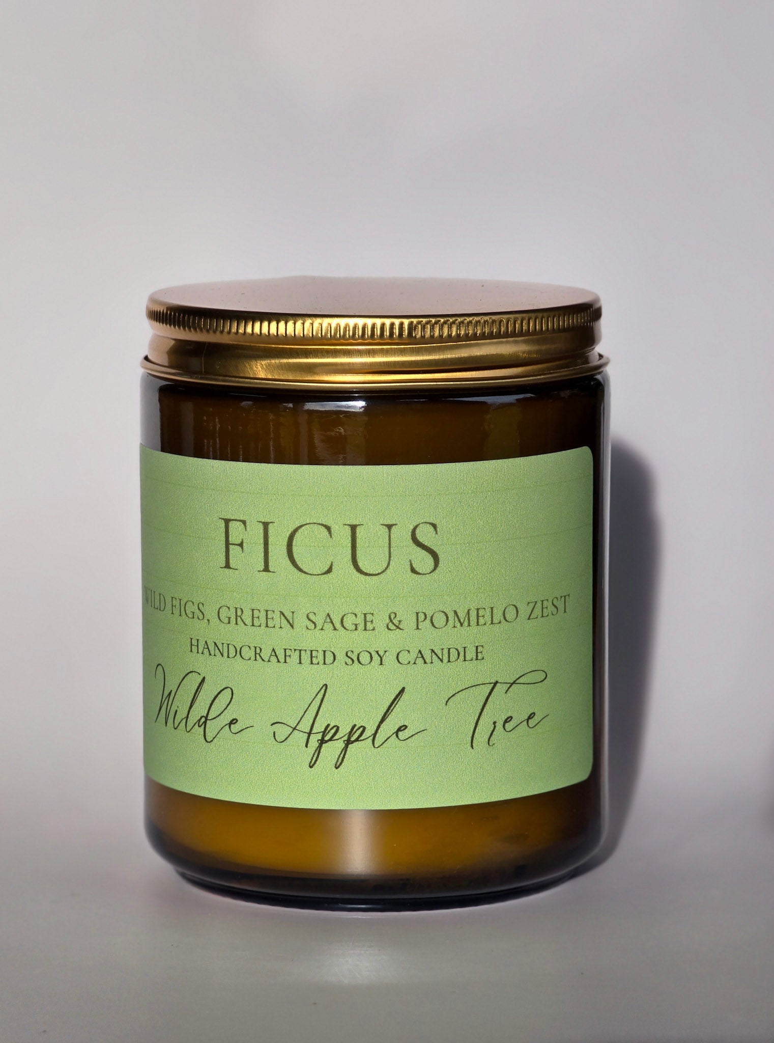 Ficus Candle | Medium | 40+ Hours Burn Time