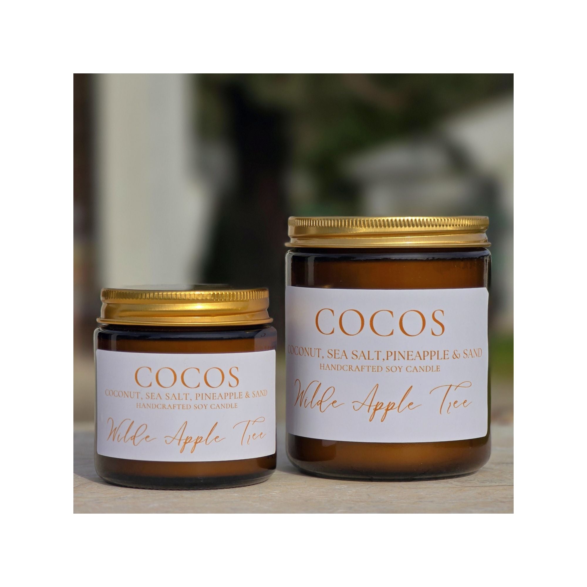 Cocos Candle | Mini | 20+ Hours Burn Time